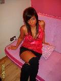 fotka id=86701